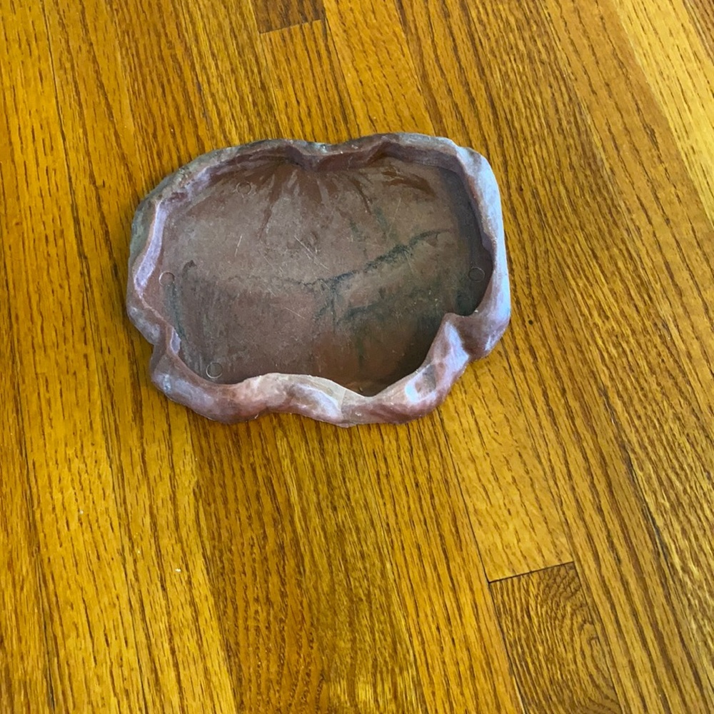 Shallow reptile water dish
